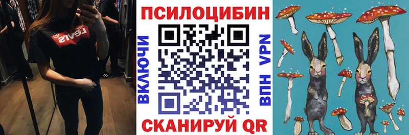 Псилоцибиновые грибы MAGIC MUSHROOMS  Чернушка 