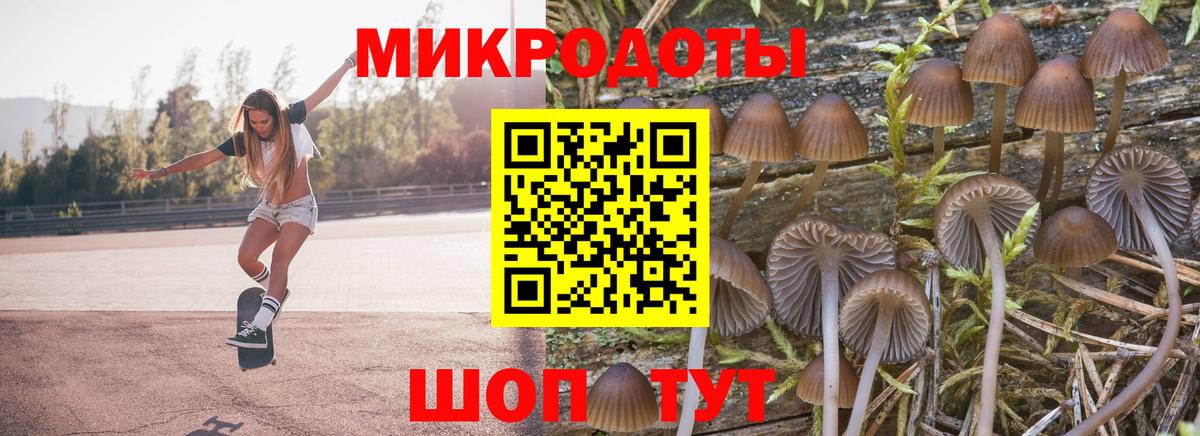 Чернушка  Псилоцибиновые грибы Psilocybe  Вход с VPN 